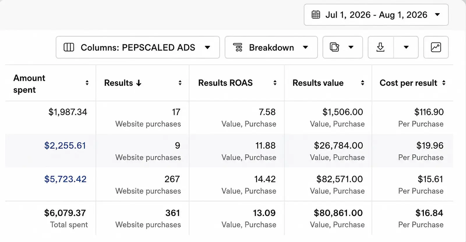 Meta Ads Manager — $6,079 spend, 361 purchases, $80,861 conversion value, 13.09 ROAS